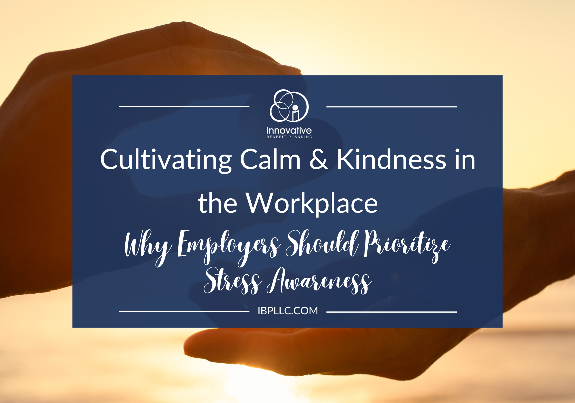 Cultivating Calm & Kindness in the Workplace
